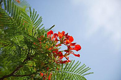 尽享射击乐趣《穿越火线：塞拉小队》现已上市